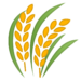 22333-sheaf-of-rice-icon 22333-sheaf-of-rice-icon